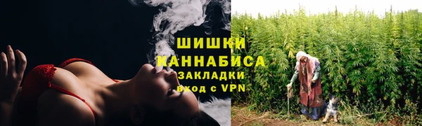 индика Горнозаводск