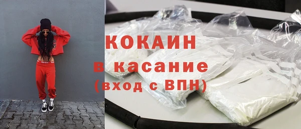 индика Горнозаводск