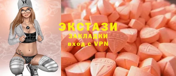 индика Горнозаводск
