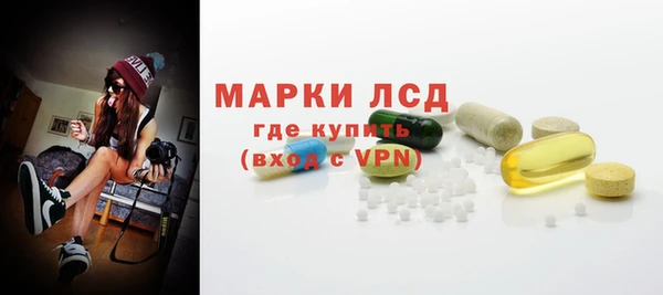 индика Горнозаводск