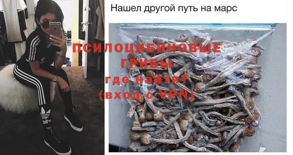 индика Горнозаводск