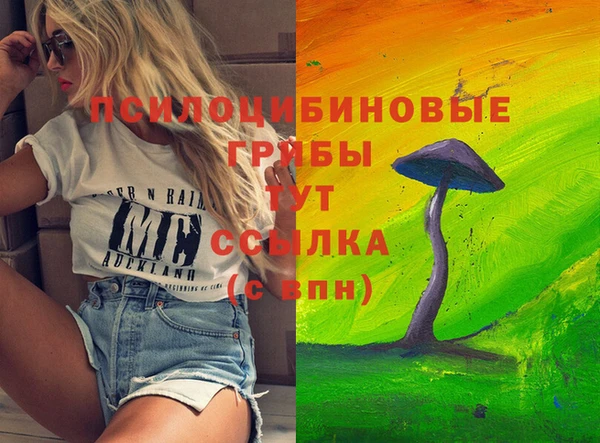 бутират Новозыбков