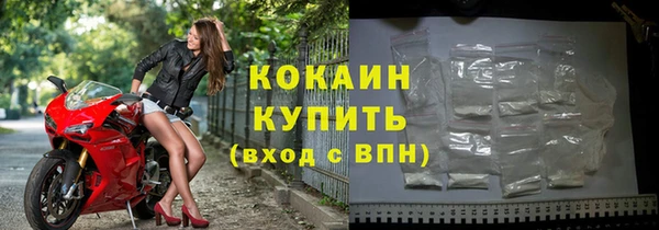 индика Горнозаводск