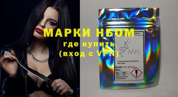 индика Горнозаводск