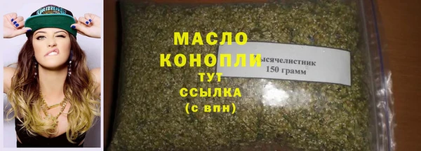 индика Горнозаводск