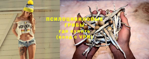 jwh Горняк